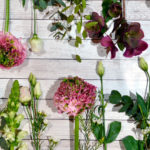 Pas på dine blomster og planter